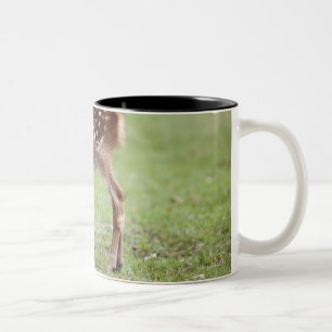 Caneca De Café Em Dois Tons Prefeitura de Nara, Honshu, Japão