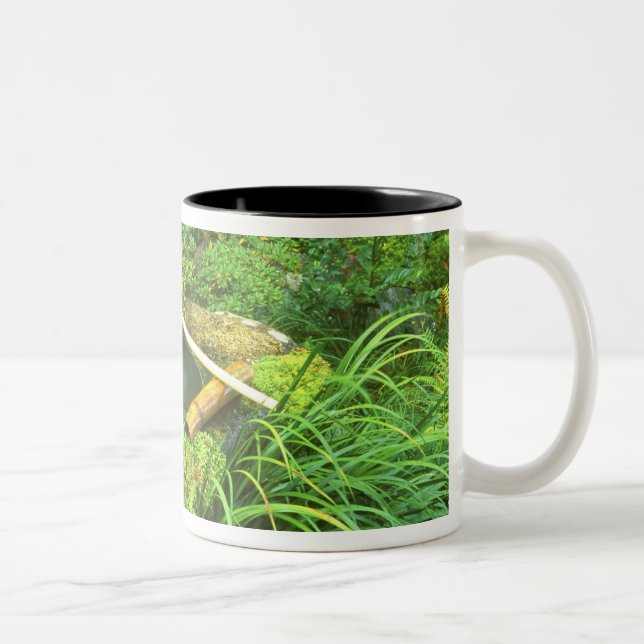 Caneca De Café Em Dois Tons Primavera para Cerimônia do Chá, Templo Sanzen-in, (Direita)