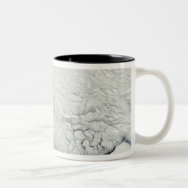 Caneca De Café Em Dois Tons Primavera precoce na Antártida (Direita)
