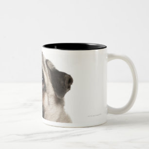 Caneca De Café Em Dois Tons Pug (13 meses velho) que olha acima