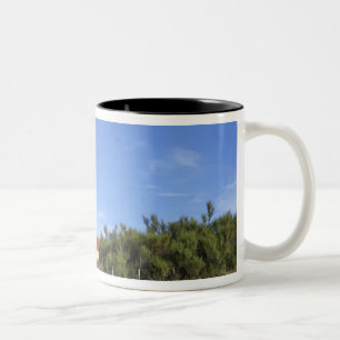 Caneca De Café Em Dois Tons Punta Delgada, Península Valdés, Chubut