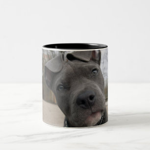 Caneca De Café Em Dois Tons Puppia