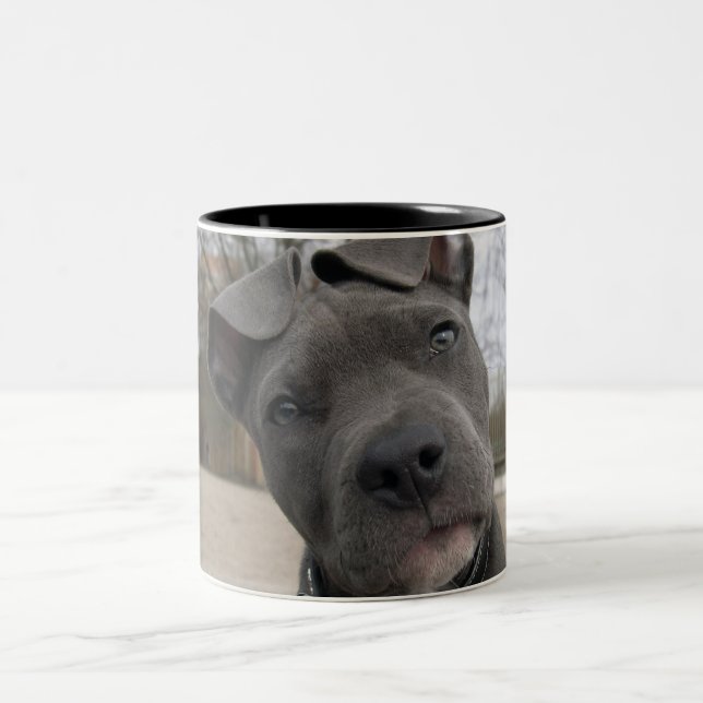 Caneca De Café Em Dois Tons Puppia (Centro)