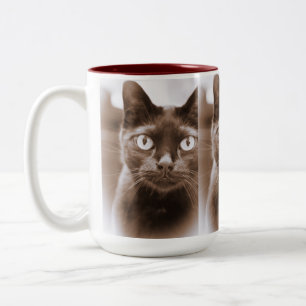 Caneca De Café Em Dois Tons Pywacket Potrait que eu agrido