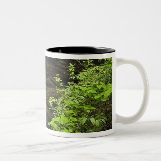Caneca De Café Em Dois Tons Quedas de água caindo na pia, Whiteoak Sink, (Direita)