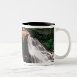 Caneca De Café Em Dois Tons Quedas de Blackwater, Virgínia Ocidental, cênico,