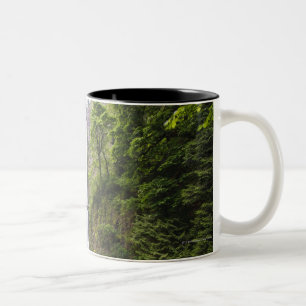 Caneca De Café Em Dois Tons Quedas de Latourell & desfiladeiro do Rio Columbia