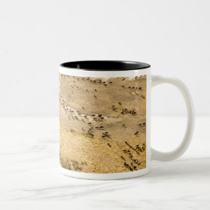 Caneca De Café Em Dois Tons Quênia: Reserva Nacional Masai Mara, Mara