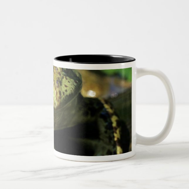 Caneca De Café Em Dois Tons Rã-touro. (Direita)
