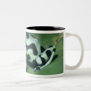 Caneca De Café Em Dois Tons Rã venenosa, (Dendrobates auratus) Cahuita
