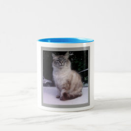 Caneca De Café Em Dois Tons Racum Siamese de Maine do gato malhado Himalaia
