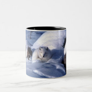Caneca De Café Em Dois Tons Raposa Árctica em Neve
