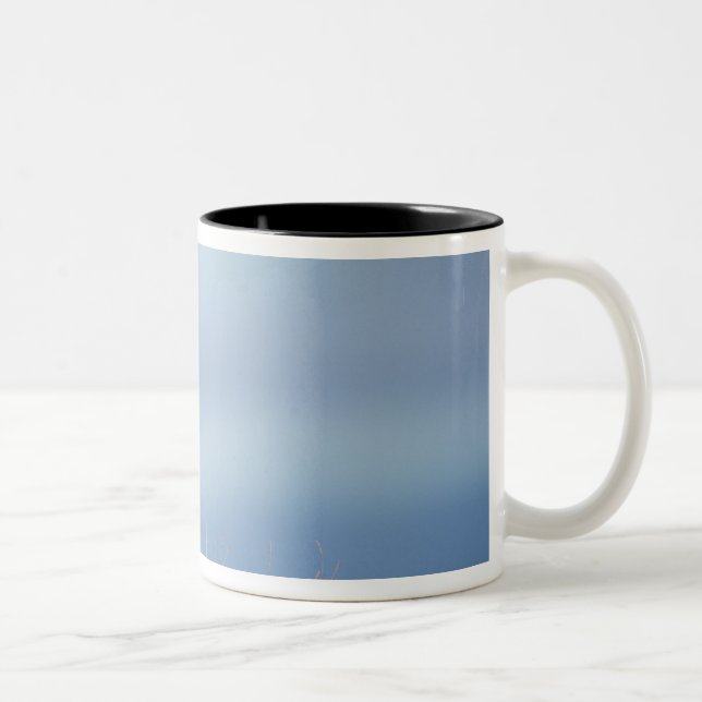 Caneca De Café Em Dois Tons raposa-vermelha, Vulpes vulpes (Direita)