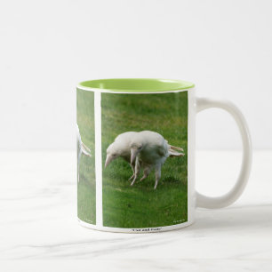 Caneca De Café Em Dois Tons Rara foto da vida selvagem do Corvo Branco