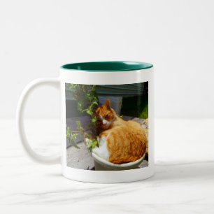 Caneca De Café Em Dois Tons Raspador em uma panela
