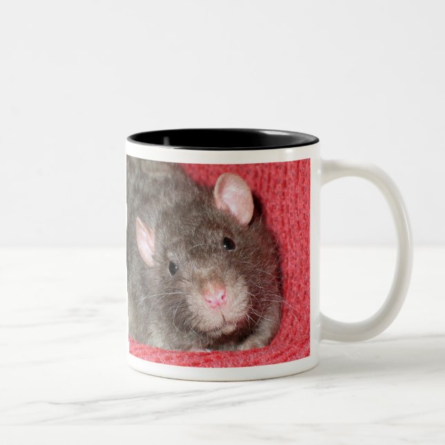 Caneca De Café Em Dois Tons Rato Fofo (Direita)