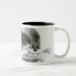 Caneca De Café Em Dois Tons Rato, Terra do Fogo, Ámérica do Sul c.1832-36