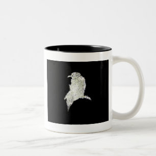 Caneca De Café Em Dois Tons Raven