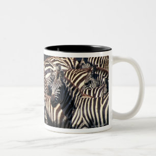 Caneca De Café Em Dois Tons Rebanho das zebras