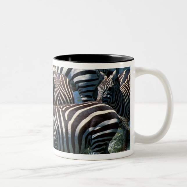 Caneca De Café Em Dois Tons Rebanho das zebras 2 (Direita)