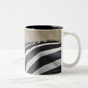 Caneca De Café Em Dois Tons Rebanho das zebras que pastam, reserva do jogo de