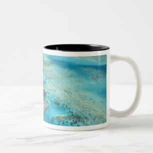 Caneca De Café Em Dois Tons Recife Arlington, Parque Marinho da Grande Barreir