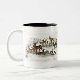 Caneca De Café Em Dois Tons Red Deer Hart, Hind, Roebuck, Thibetian Musculk