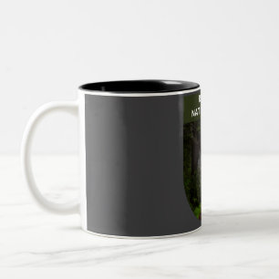 Caneca De Café Em Dois Tons Redwood National Park - Califórnia