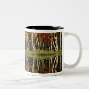 Caneca De Café Em Dois Tons Reflexões sobre Folhagem e Aves de Queda; Hiawath