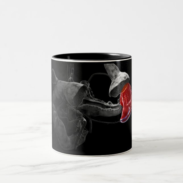 Caneca De Café Em Dois Tons Rendição 3d artística do baço (Centro)