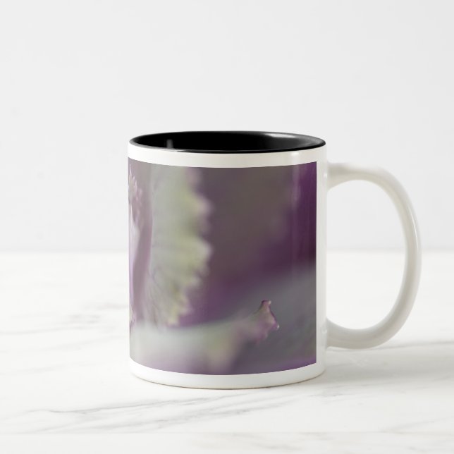 Caneca De Café Em Dois Tons Repolho decorativo (Direita)
