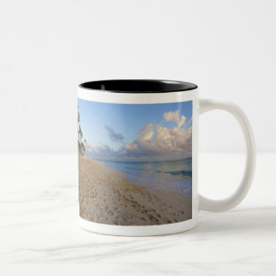Caneca De Café Em Dois Tons República Dominicana, La Altagracia, Punta Cana,