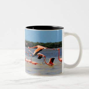Caneca De Café Em Dois Tons Reserva da biosfera de Celestun