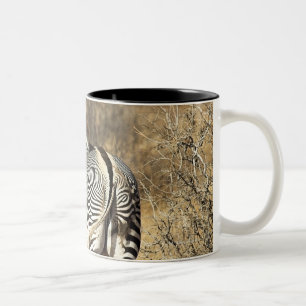 Caneca De Café Em Dois Tons Reserva nacional de Samburu, Kenya