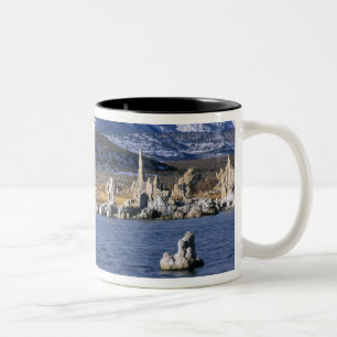 CANECA DE CAFÉ EM DOIS TONS RESERVA NATURAL DO ESTADO DE MONO LAKE TUFA,
