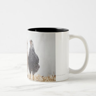 Caneca De Café Em Dois Tons Retrato de três galinhas do animal de estimação
