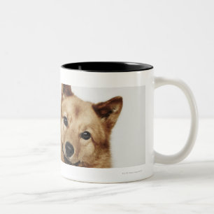 Caneca De Café Em Dois Tons Retrato de um sorriso finlandês do cão do Spitz