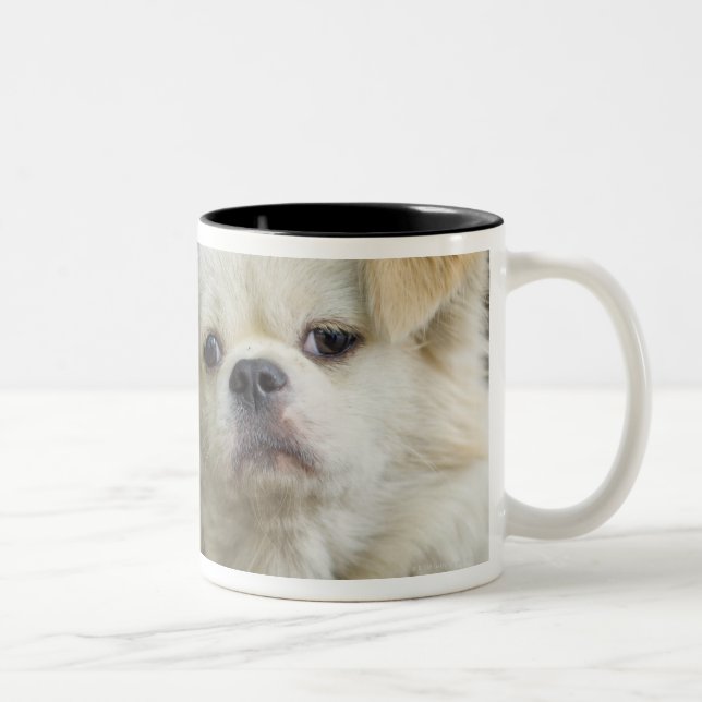 Caneca De Café Em Dois Tons Retrato do cão 2 (Direita)