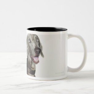 Caneca De Café Em Dois Tons Retrato do cão de Weimaraner