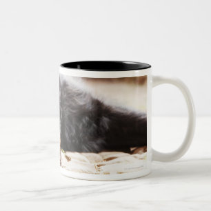 Caneca De Café Em Dois Tons retrato do cão preto que encontra-se na jarda