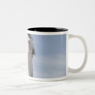 Caneca De Café Em Dois Tons Retrato do cavalo de Clydesdale