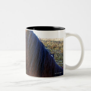 Caneca De Café Em Dois Tons Retrato do cavalo marrom no dia frio