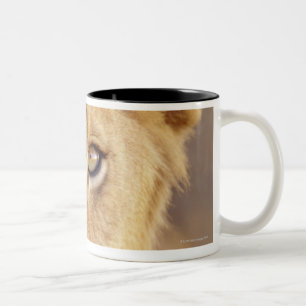 Caneca De Café Em Dois Tons Retrato do close up de um encontro masculino novo