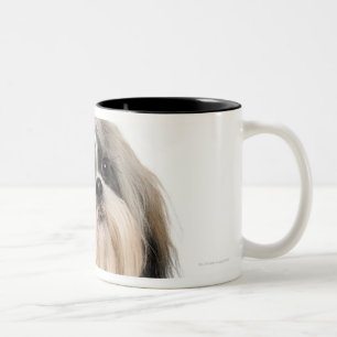 Caneca De Café Em Dois Tons Retrato do estúdio de Shih Tzu
