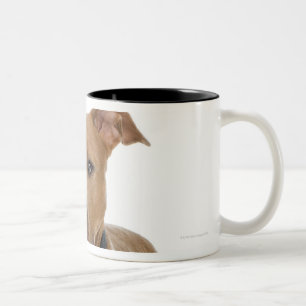 Caneca De Café Em Dois Tons Retrato do estúdio do filhote de cachorro