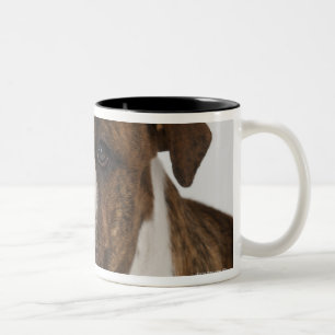Caneca De Café Em Dois Tons Retrato do filhote de cachorro bonito do buldogue