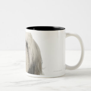 Caneca De Café Em Dois Tons Retrato do filhote de cachorro de Terrier tibetano