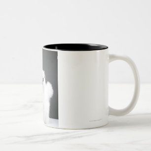 Caneca De Café Em Dois Tons Retrato do gatinho