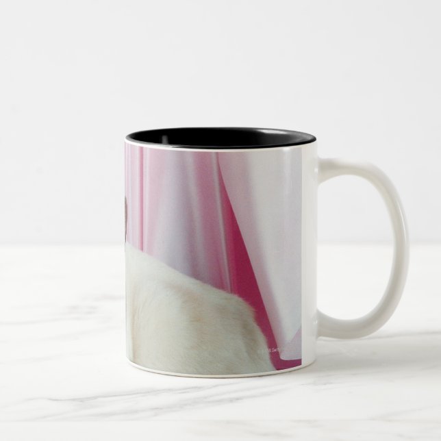 Caneca De Café Em Dois Tons Retrato do gato 4 (Direita)