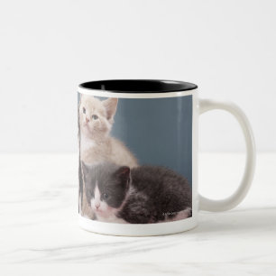 Caneca De Café Em Dois Tons Retrato do grupo de gatinhos
